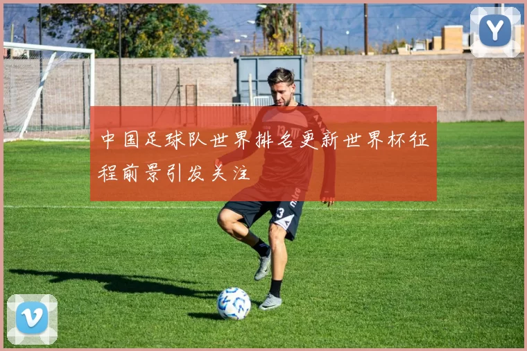 中国足球队世界排名更新世界杯征程前景引发关注