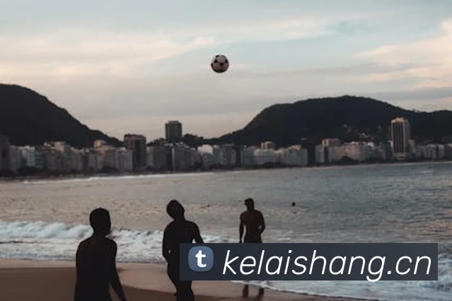 多媒体互动体验